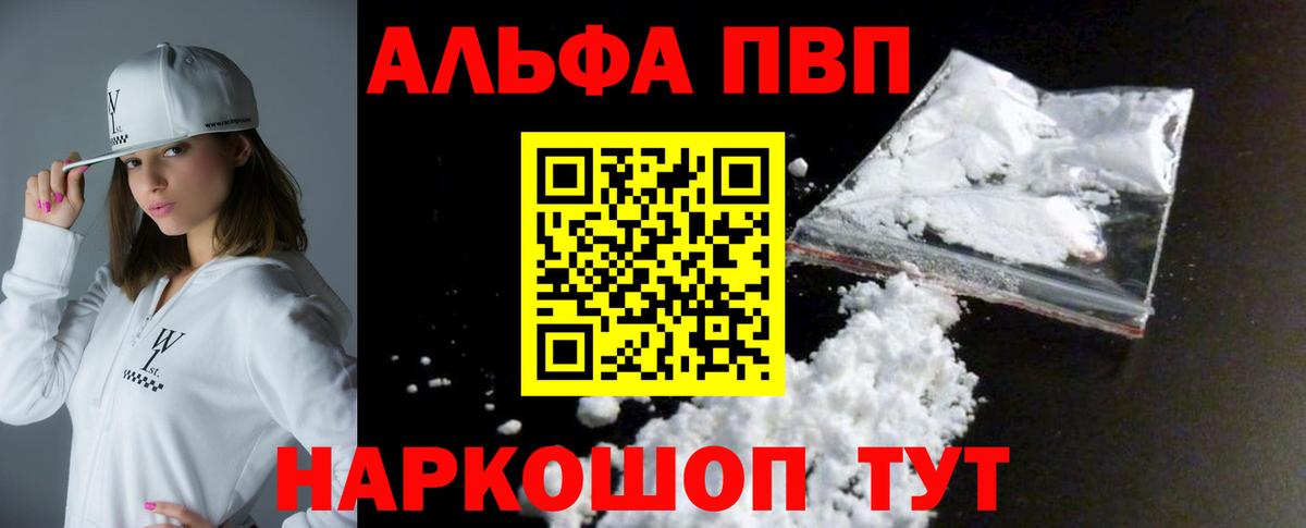 Альфа ПВП СК КРИС Великий Новгород