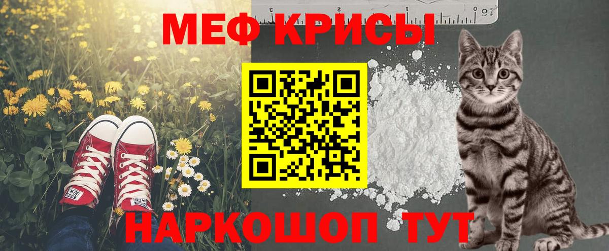 МЕФ  Великий Новгород