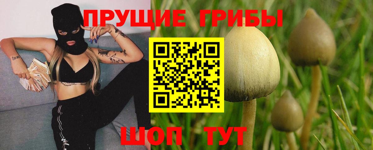 Галлюциногенные грибы мицелий Великий Новгород